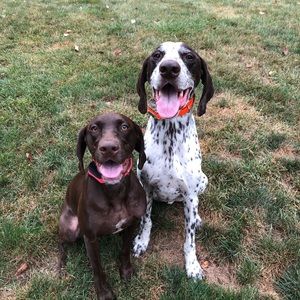 Meet your Posher, Kristin